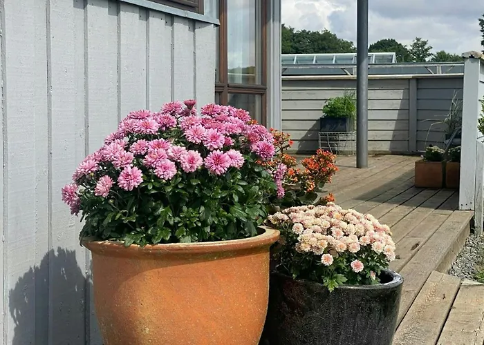 With Panoramic Views Near Haderslev